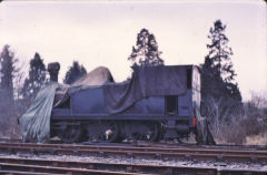 
NLR 2650 at the Bluebell Railway, March 1969